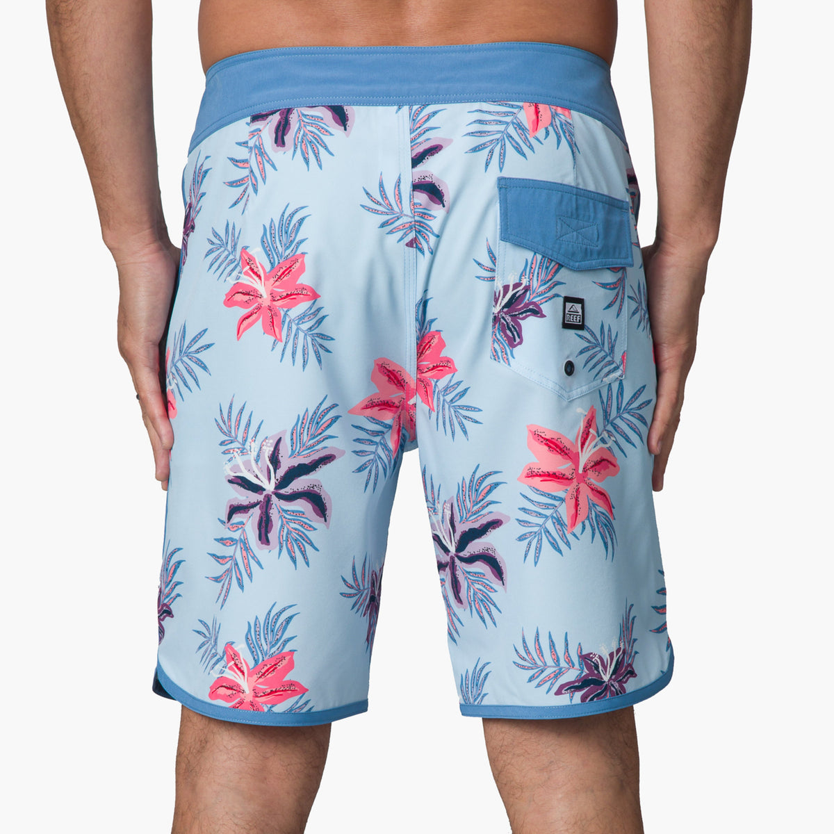 Robbie Boardshort 19" - Clearwater - Back View