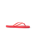 CK0313