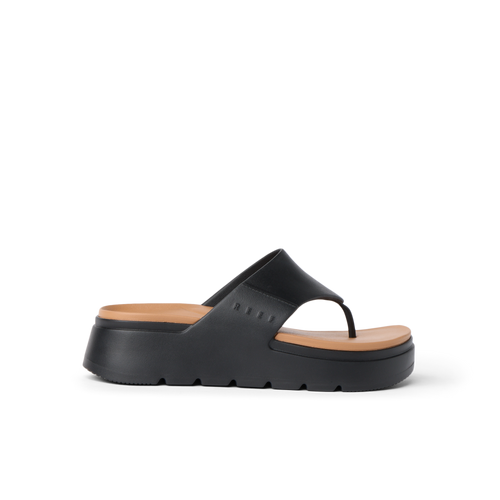 CK0595